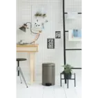 Pedalhink Brabantia Newicon 12 l, Platinum, fingerprint proof