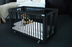 Crib Edward, EU certified through SP, Black